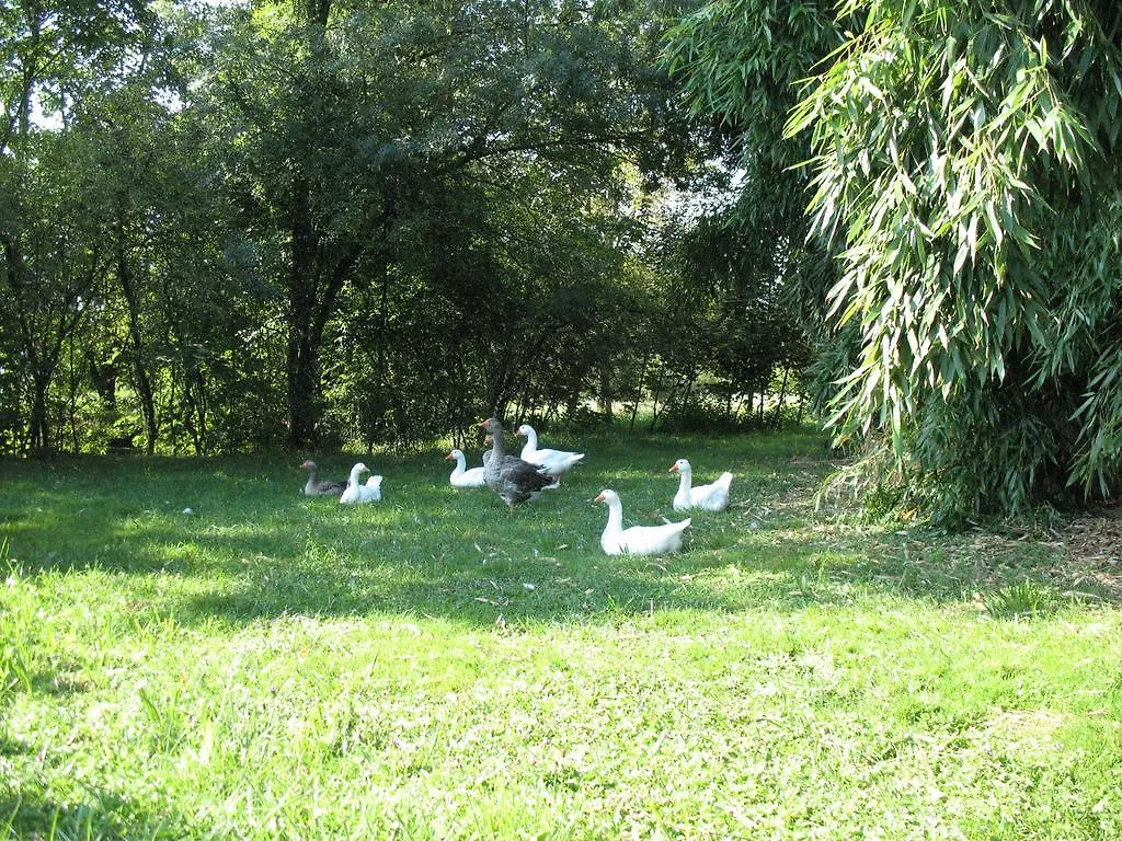 Bioagriturismo Vegan Campo Di Cielo Cesiomaggiore