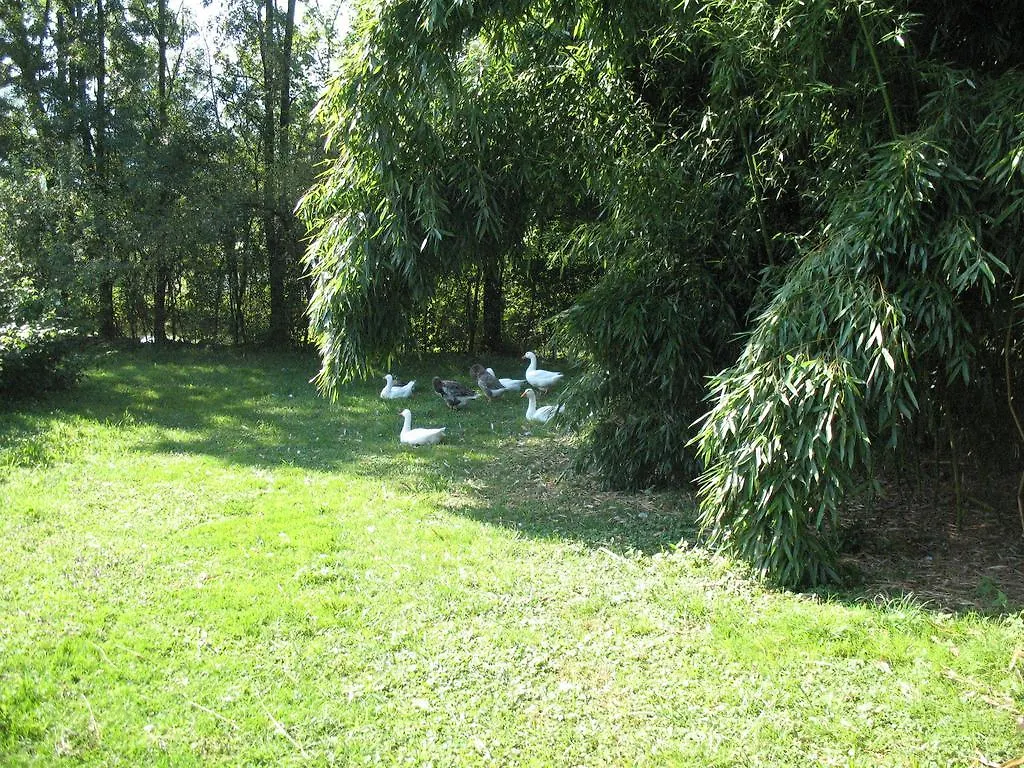 Bauernhof Bioagriturismo Vegan Campo Di Cielo Cesiomaggiore