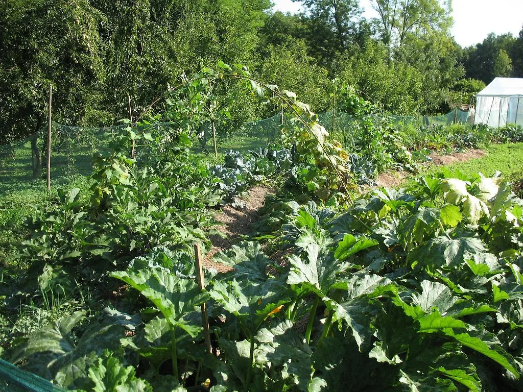 BioAgriturismo Vegan Campo di Cielo Cesiomaggiore