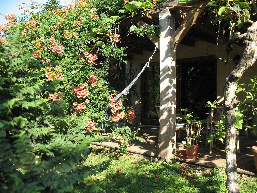 Alloggio per agriturismo BioAgriturismo Vegan Campo di Cielo Cesiomaggiore Italia