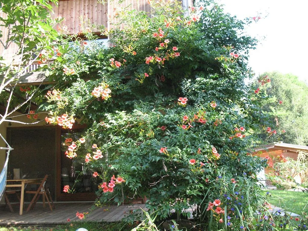 BioAgriturismo Vegan Campo di Cielo Cesiomaggiore