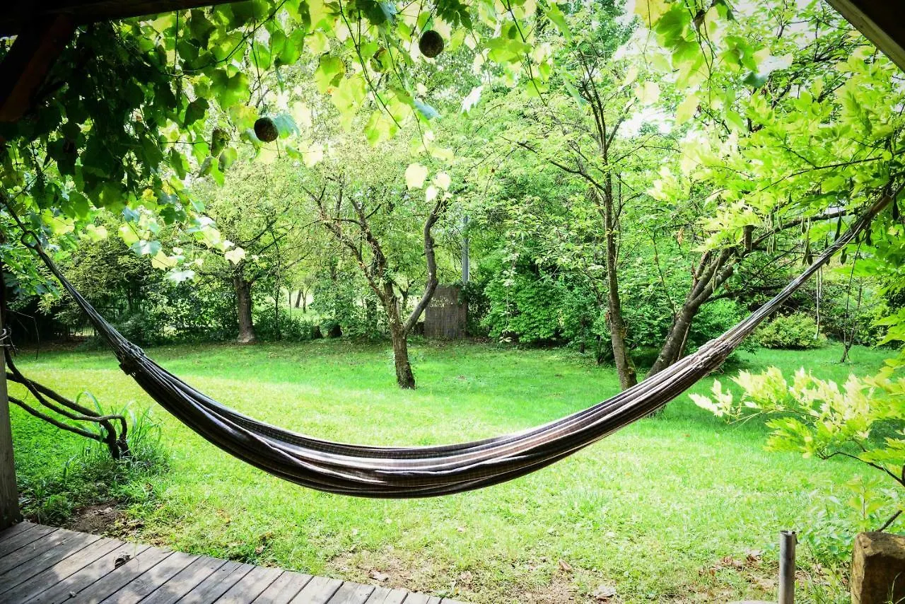 BioAgriturismo Vegan Campo di Cielo Cesiomaggiore Italia